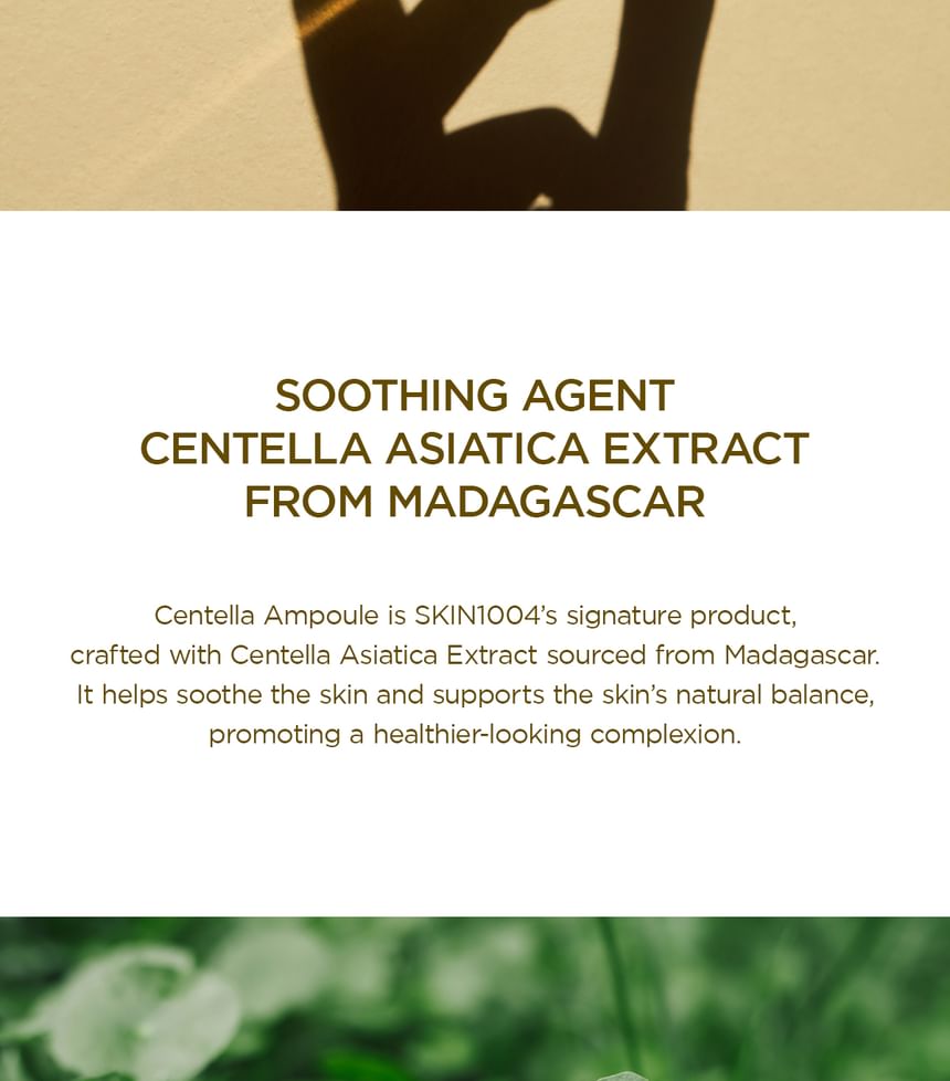 SKIN1004 - Madagascar Centella Asiatica 100 Ampoule